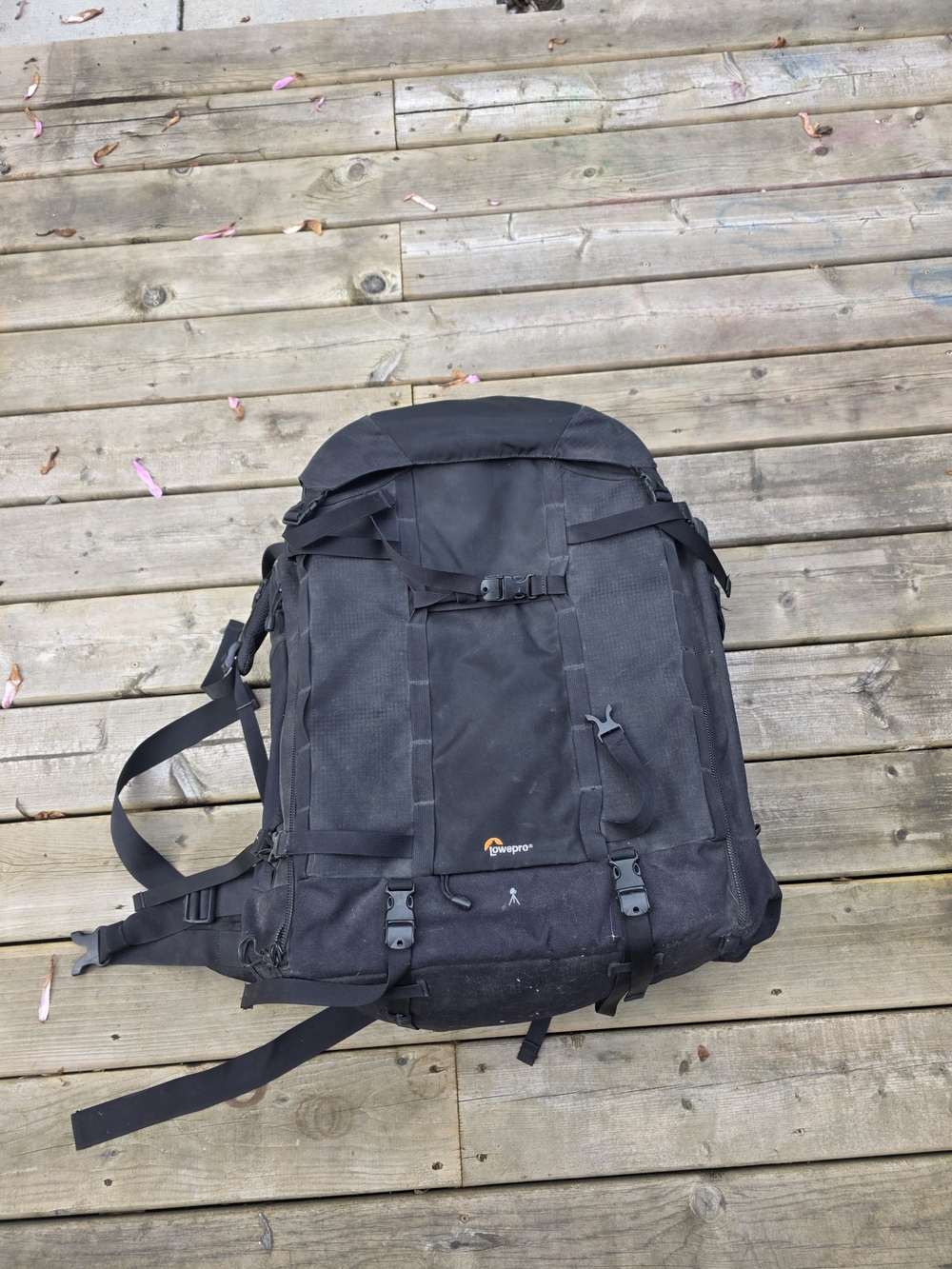 Lowepro camera bag backpack - Picture 3 of 7